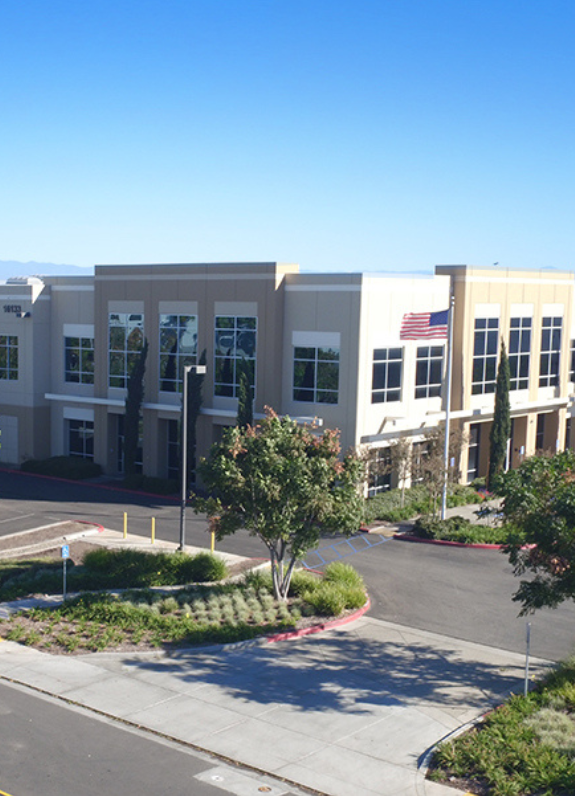 Chino-Facility-Fern-Tall